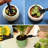 12 Pcs  Set Mini Transplanting Garden Tools Kit