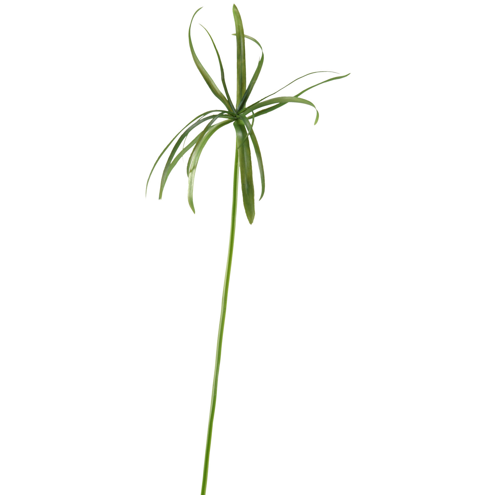 38'' Faux Papyrus Grass Grass