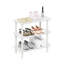 Shondre Shoe Rack-1439021512