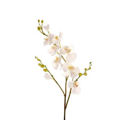 Phalaenopsis orchidée 42 po x 10 (2 tiges par boîte)