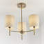 Iyanna 3 - Light Shaded Chandelier