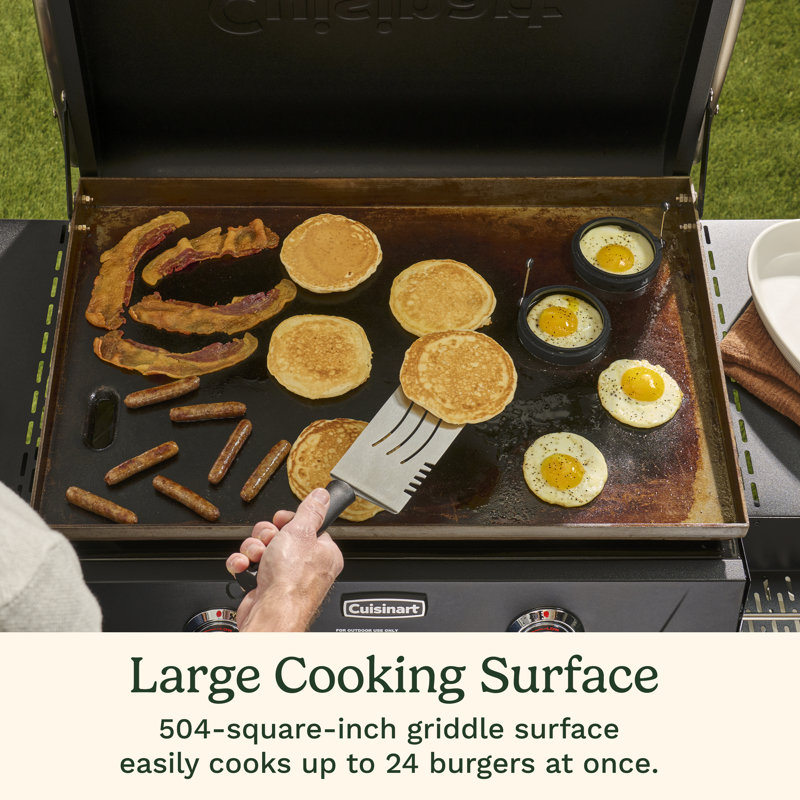 28" Outdoor Griddle With Hood