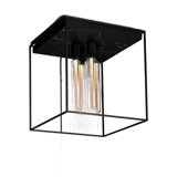 Caged Ceiling 4.0