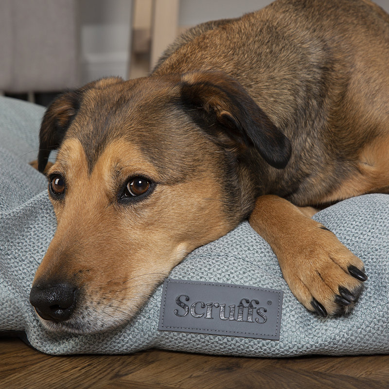 Scruffs Seattle - Luxury Dog Bed Mattress, 14cm H x 100cm W x 70cm D, Topaz Green