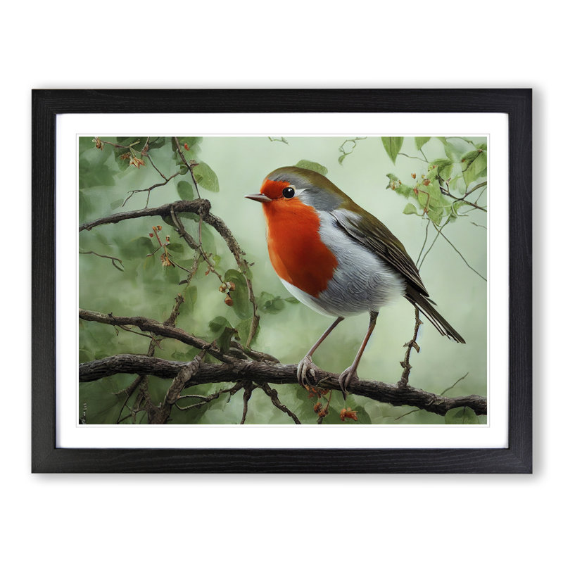 XH1022-9697X Vivacious Robin Bird - Single Picture Frame Print, Black, 46cm H x 64cm W