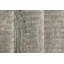 Cankton 200cm X 290cm Area Rug-2088823619