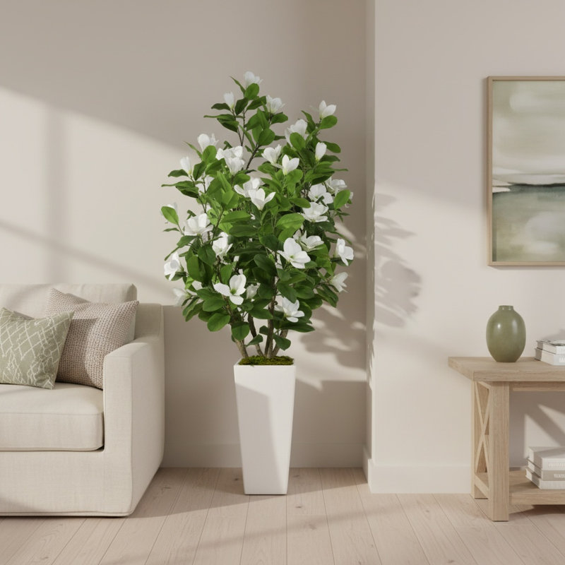 Magnolia avec pot de fleurs en fibre de pierre