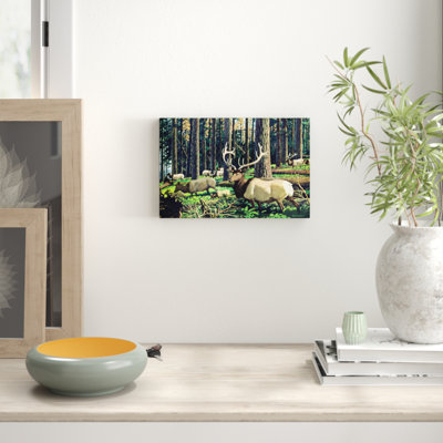Wrapped Canvas Print