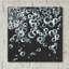 «Bubbles II» par Chris Paschke-1875831297