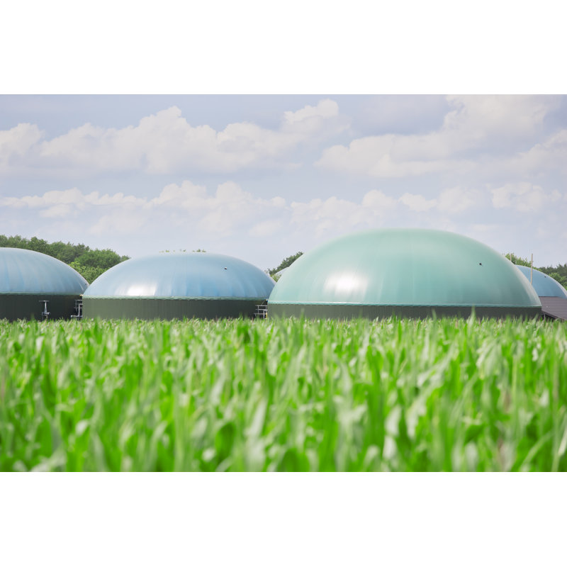 Biogaz Energy par Jan-Otto, H 20 po x l 30 po