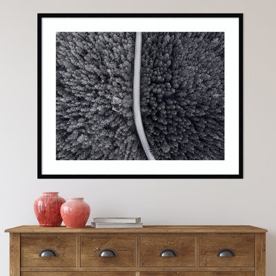 «Mallard Divided Forest» par Christian Lindsten - photographie encadrée sur papier