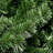 Deluxe Windsor Pine Artificial Christmas Wreath - 36-Inch Unlit