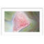 Single Picture Frame Print-20133612