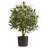 29'' Faux Olive Tree Tree in Planter
