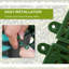 50cm Faux Evergreen Hedge