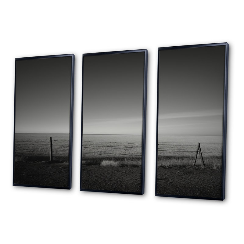 «Black and White Meadow», ensemble d'art sur toile, Cadre flottant noir, H 32 po x l 48 po x P 1 po
