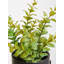 30cm Faux Herbs Plant in Stone Pot