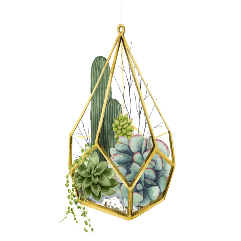 Wild Terrarium IV, H 18 po x l 12 po x P 1,25 po