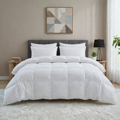 Édredon toutes saisons en mélange de duvet et de plumes 100% coton biologique (blanc)