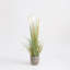 Faux Pampas Grass Grass in Pot-70917897