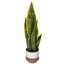 Faux Snake Plant Plant in Ceramic Pot