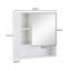 Nyveah Wall Mounted Required Bathroom Cabinet