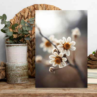 Treechild - Frosted Blooms by 1X - Wrapped Canvas Print