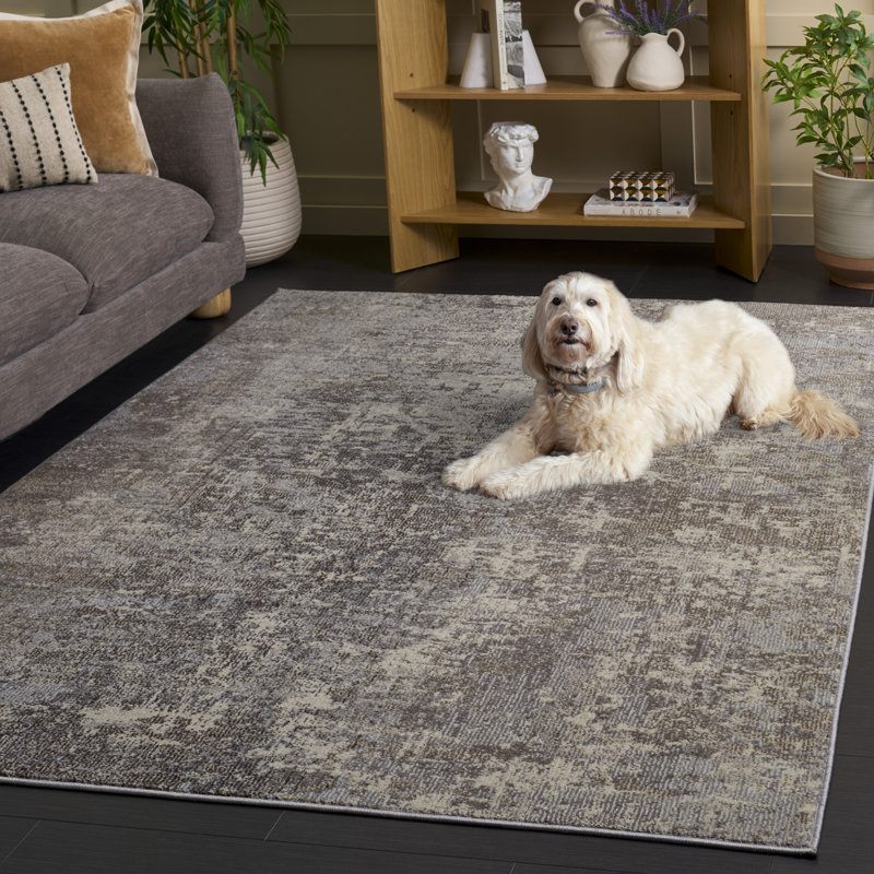 Tapis gris clair / beige Stratton, Rectangle 5 pi 3 po x 7 pi 6 po