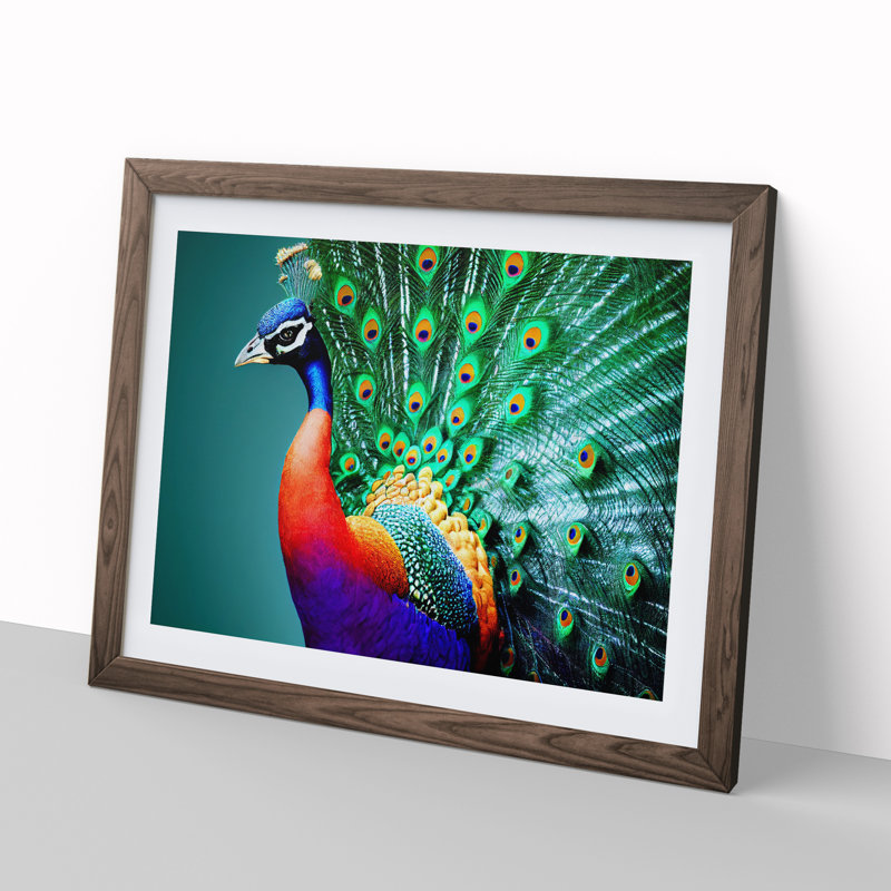 Blossoming Peacock - Single Picture Frame Print, 46cm H x 64cm W x 2cm D, Walnut Framed