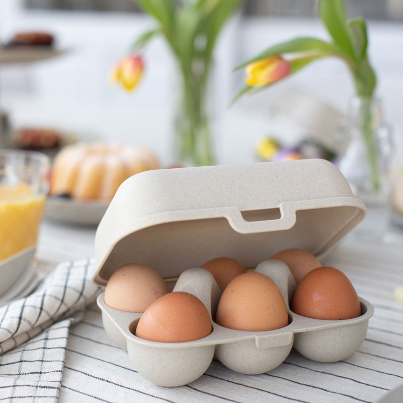 Food Storage Container
