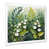 Cadre simple blanc