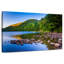 Tôt le matin à l'étang à bulles-305045814