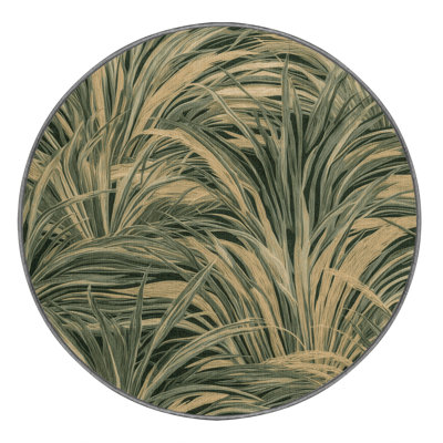 Machine Washable Botanical Brown Area Rug