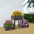 Raised Garden Bed Elevated Planter