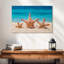 Starfish trio Aletra-108693425
