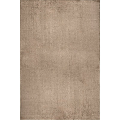 Argelia Solid Machine Washable Area Rug