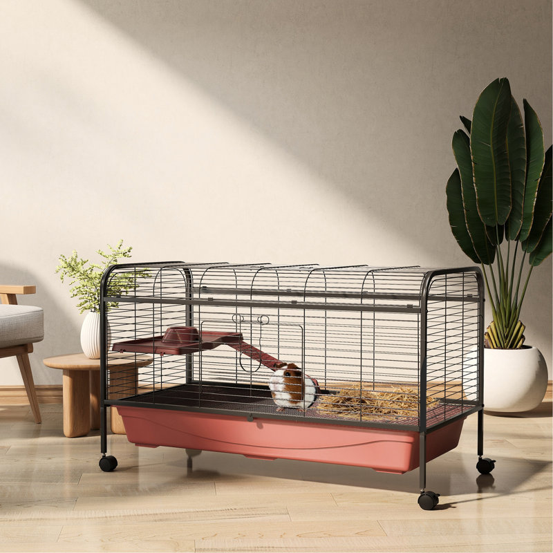 Maisonnette 48 po L - 48 po