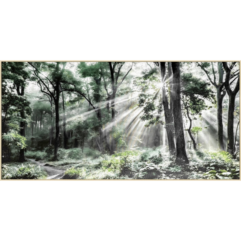 Morning Reverence Canvas Wall Art
