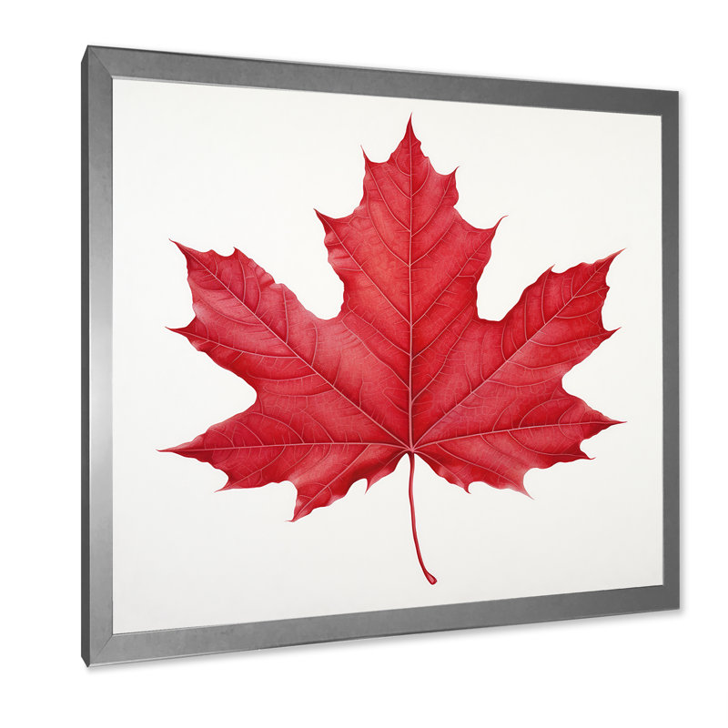 Feuille d'érable écarlate Simplicity II, Cadre simple argenté, H 36 po x l 36 po x P 1,5 po