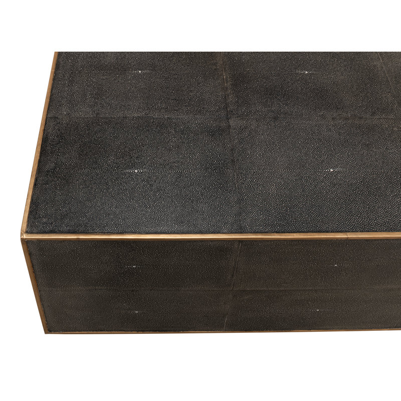 Shagreen Coffee Table