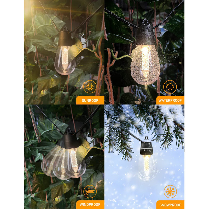 25 Light String Lighting
