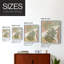 «Mid Century Palm II»-1403630760-1403630772