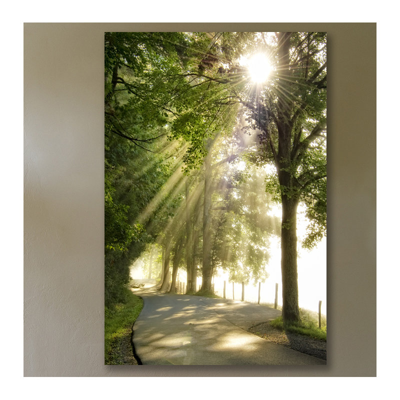 Dano - Wrapped Canvas Print, 46 cm H x 30 cm W x 3 cm D