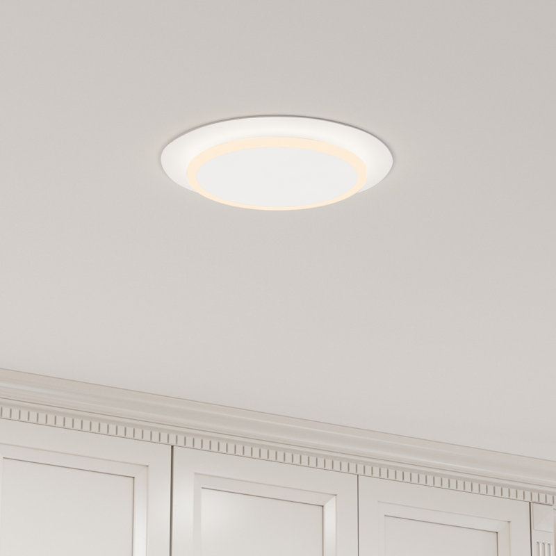 Aunyae Acrylic LED Flush Mount