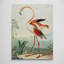 The Flamingo by Charles R Ryley - Wrapped Canvas Art Prints-713680893