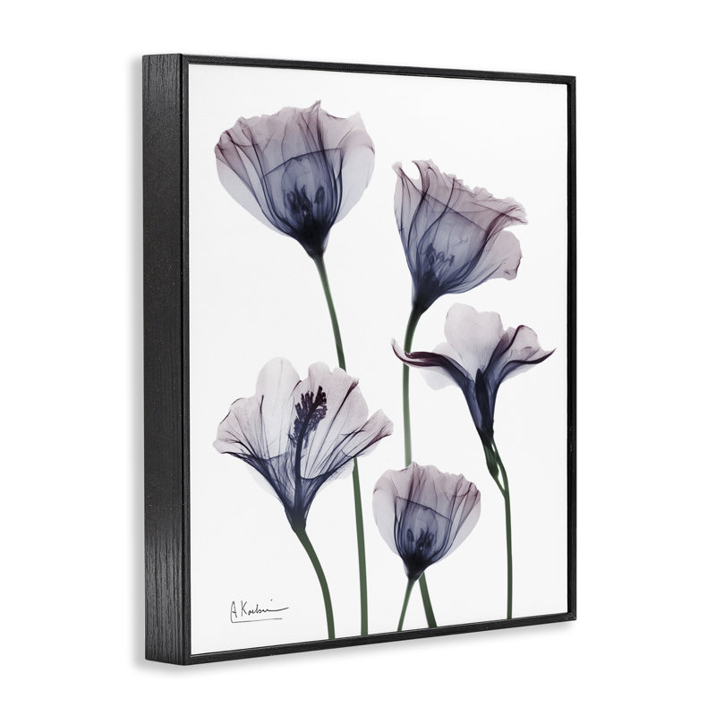 Giclée encadrée de fleurs fraîches subtiles, conception par Albert Koetsier, H 14 po x l 11 po, Giclée encadrée noir minuit
