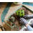 Penix Metal Wheelbarrow Planter