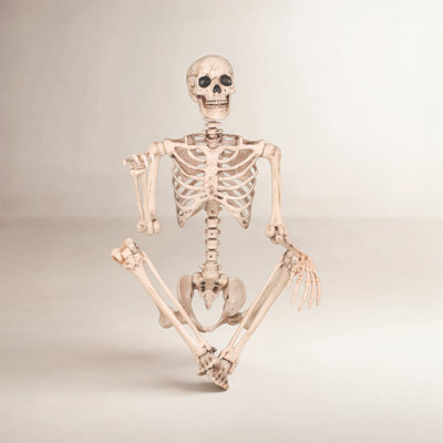 Pose-N-Stay Skeleton