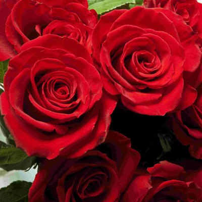" Bunch Of Roses "