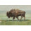 «Where the Buffalo Roam II» par Ethan Harper - peinture sur toile tendue